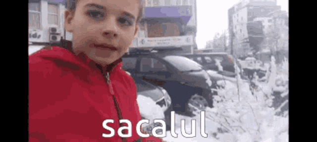 a young boy in a red jacket is standing in the snow with the word sacalul written on the bottom