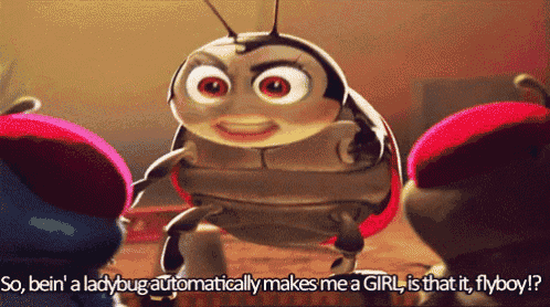 a ladybug in a cartoon says so bein ' a ladybug automatically makes me a girl is that it flyboy