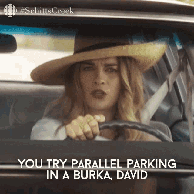 You Try Parallel Parking In A Burka David Alexis Rose GIF - You Try Parallel Parking In A Burka David Alexis Rose Alexis GIFs