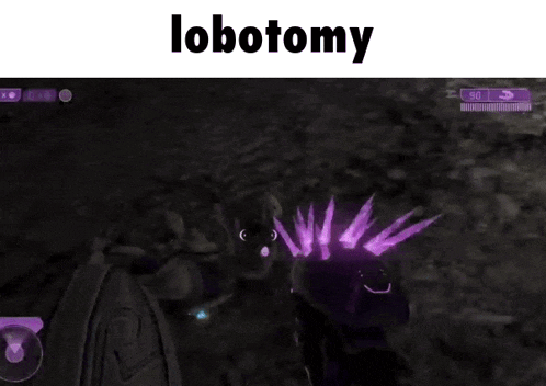 a screenshot of a video game with the word lobotomy on the top
