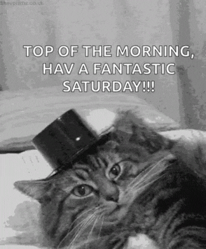 a cat wearing a top hat with the words `` top of the morning , have a fantastic saturday !! ''