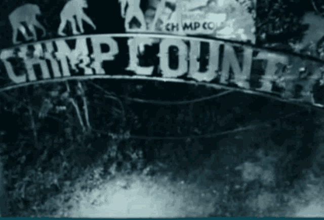 a black and white photo of a sign that says chimpanzee count