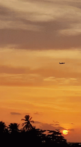 Going Home GIF - Going Home GIFs