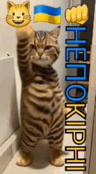 a picture of a cat with the word hetokpai on the bottom right