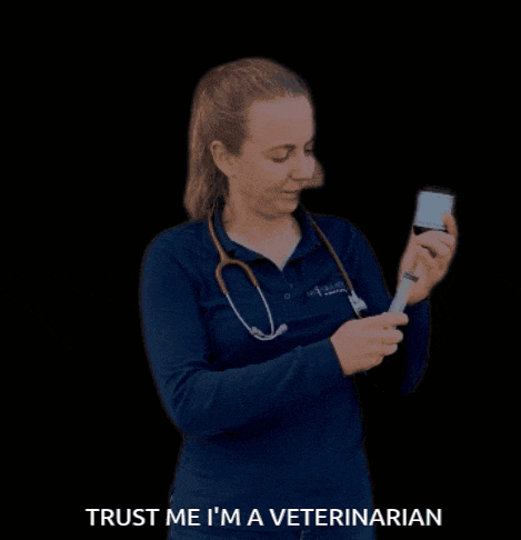 Degraafschapdierenartsen De Graafschap Dierenartsen GIF
