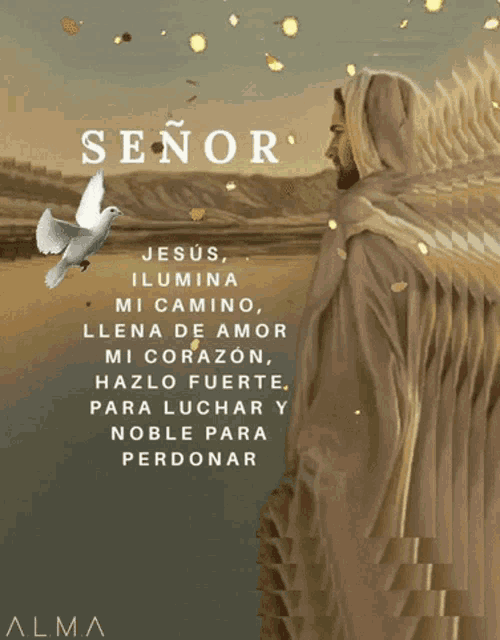 Senor Ilumina GIF - Senor Ilumina Amor GIFs