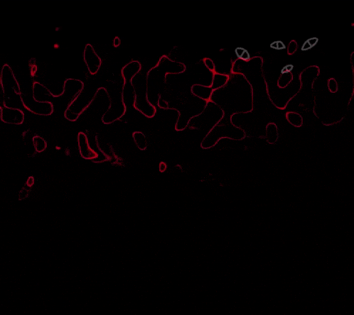 a black background with a lot of red lines