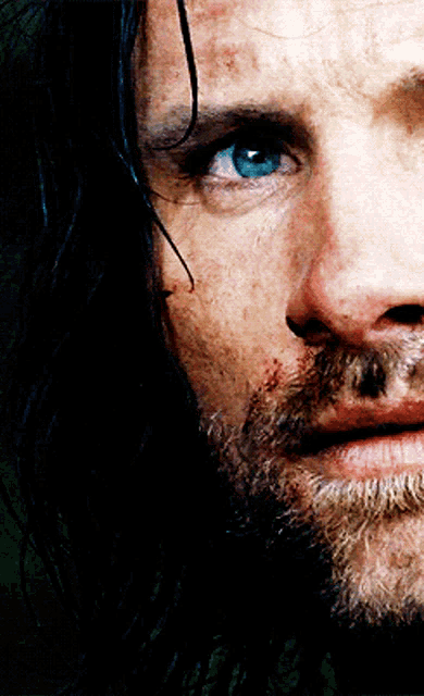 a close up of a man 's face with a beard