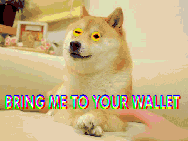 Bring Me To Your Wallet The Doge Nft GIF - Bring Me To Your Wallet The Doge Nft I Want Your Wallet GIFs