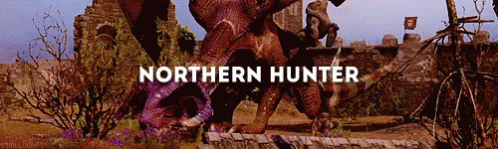 Northern Hunter Dragons GIF - Northern Hunter Dragons GIFs