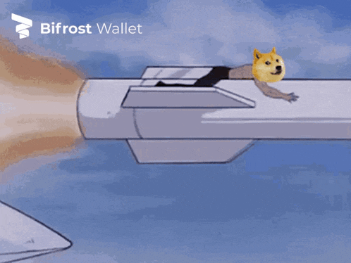a doge on a rocket with the words all time high