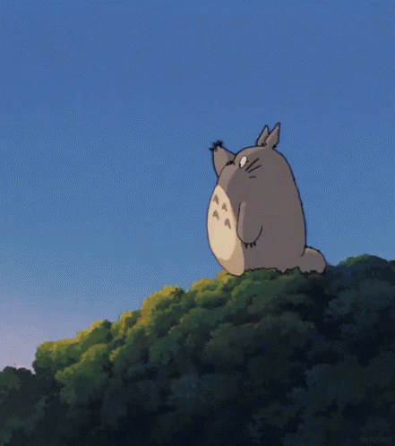 龍貓 GIF - Totoro Anime Japan GIFs