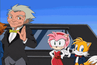 Sonic X Amy Rose GIF - Sonic X Amy Rose Pig Tails GIFs