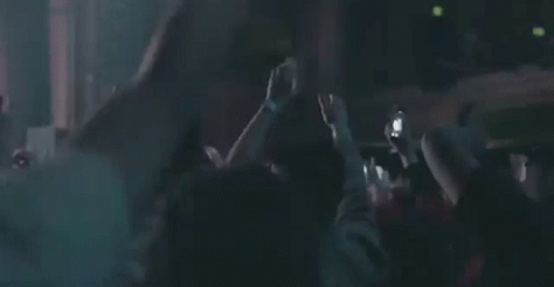 Hands Up Arms Up GIF - Hands Up Arms Up Crowd GIFs