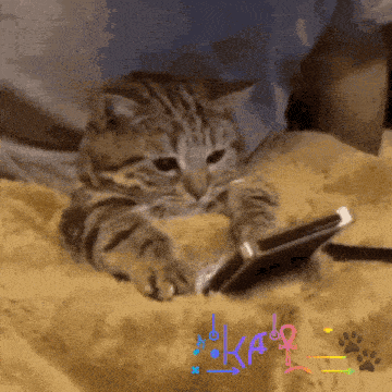 a cat laying on a blanket playing with a cell phone with the word kat on the bottom right