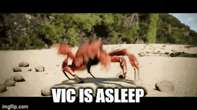 Asleep Vic Is Asleep GIF - Asleep Vic Is Asleep Crabs GIFs