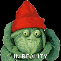 a cabbage wearing a red hat with the words in reality written below it
