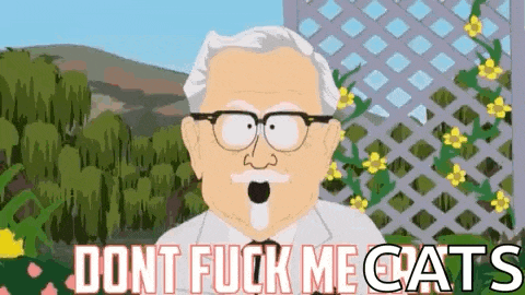 a cartoon character from south park says `` dont fuck me cats '' while standing in front of a lattice fence .