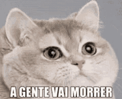 a cat with the words a gente vai morrer written below it