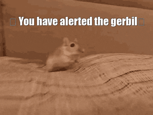 a picture of a squirrel with the words you have alerted the gerbil below it