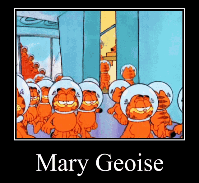 a poster of garfield wearing space helmets with the name mary geoise