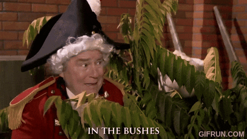 a man in a wig and hat is peeking out from behind a bush with the words " in the bushes " written below him