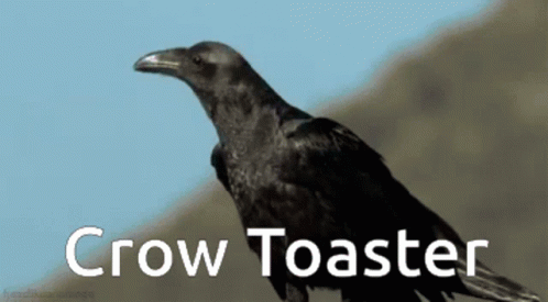 Crow Toaster GIF - Crow Toaster Crow Toaster GIFs
