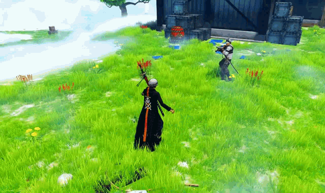 a man in a black robe is standing in a field with a sword