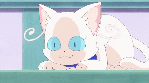 a white cat with blue eyes and a swirl on its tail