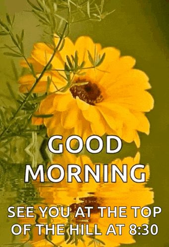 a good morning message with a yellow flower