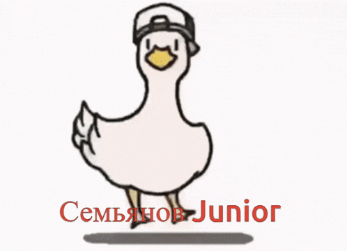 a cartoon of a duck wearing a mask and a hat with the word junior written below it