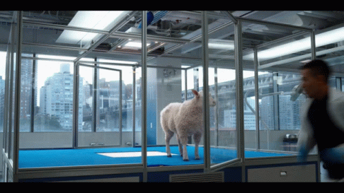 Clifford The Big Red Dog Angry Sheep GIF - Clifford The Big Red Dog Angry Sheep GIFs