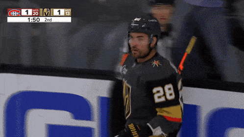 a hockey player with the number 28 on his shirt