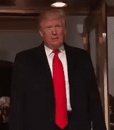 Kamu Pasti Bisa GIF - Donald Trump Kamu Pasti Bisa Jempol GIFs