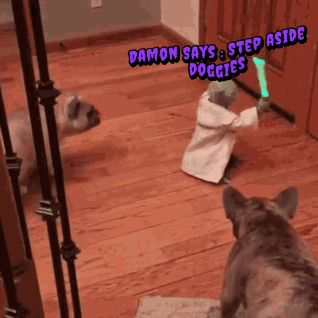 two dogs are playing with a toy yoda and the caption says damon says step aside doggies