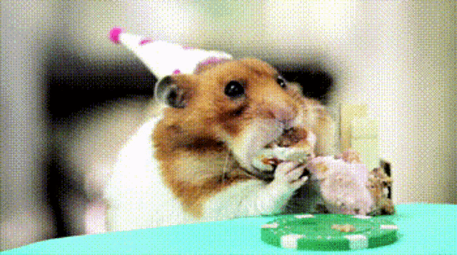 a hamster is wearing a party hat and eating a piece of cake