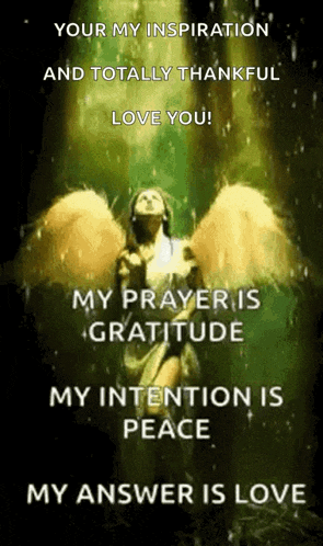 a picture of an angel with a quote that says your my inspiration and totally thankful love you