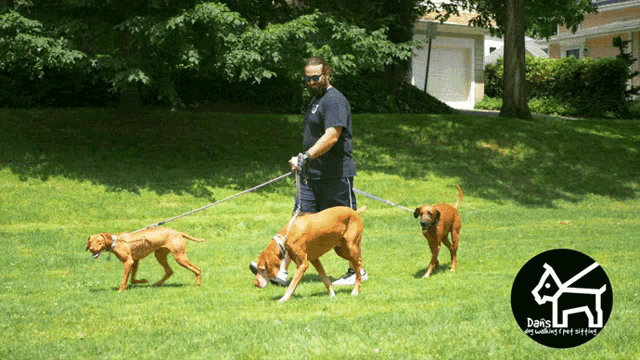 a man is walking three dogs in a park with a logo for dogs pet walking and pet sitting