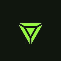 a silhouette of a person holding a sword in a neon green background .
