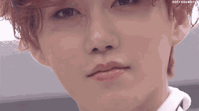 a close up of a person 's face with the words softgummy on the bottom left