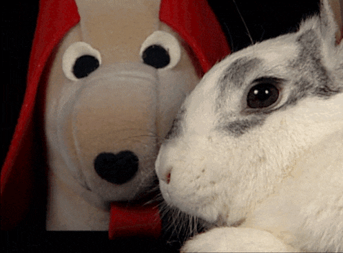 a stuffed dog and a stuffed rabbit with big eyes