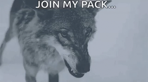 Join The GIF - Join The Pack GIFs