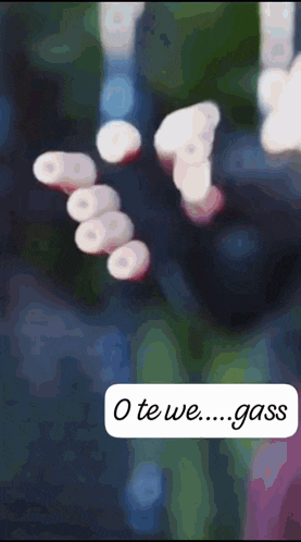 a blurry picture of a person 's hands with the words " o te we gass " written below them