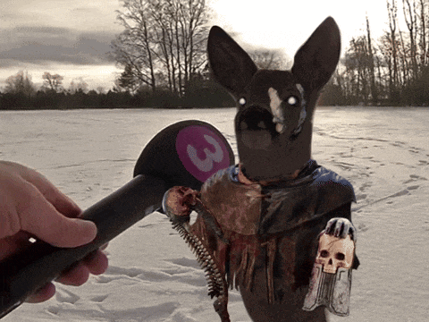 a person is holding a microphone in front of a dog that has the number 3 on it