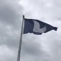 Cubs Lose GIF - Cubs Lose Flag GIFs