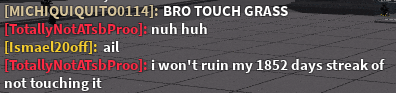 a screenshot of a video game with the words bro touch grass
