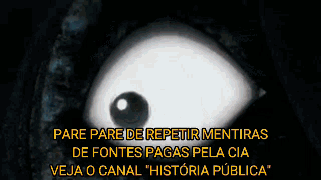 a cartoon of a woman standing on top of a hill with the words pare pare de repetir mentiras