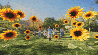 a group of people in a field of sunflowers