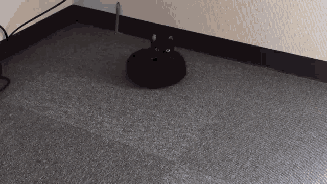 Cat Black Cat GIF - Cat Black Cat Robot GIFs
