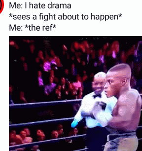 Fights GIF - Fights GIFs